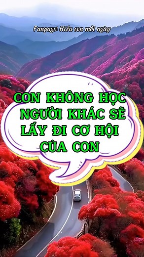 1.1M views · 8.8K reactions | Con không học người khác sẽ lấy đi mất cơ hội của con #daycon #giadinh #chame #hieuconmoingay #reelsviral #phattrienbanthan #daycondungcach #nuoidayconcai #phattrienbanthan | Hiểu con mỗi ngày | Facebook