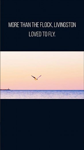 Jonathan Livingston Seagull | The Freedom We All Need Today 🕊️