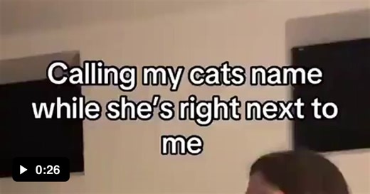 What a smart cat - Video