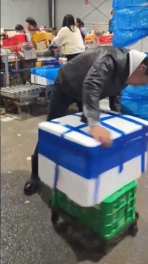 Fast Box Strapping Technique – Secure Packaging for Heavy Loads