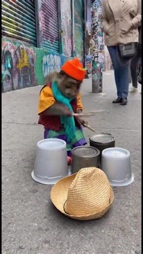 The street drummer nobody expected 🐒🥁 | Normal not normal
