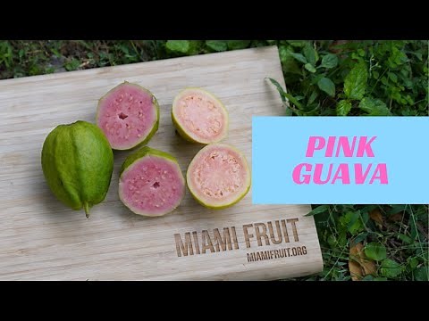 How to tell when pink guava is ripe