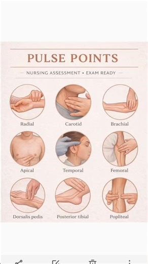 pulse position in the body #nursing #health #position #viral #shorts #anm gnm