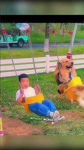 Why Babies and Dogs Are Best Friends 🐶👶