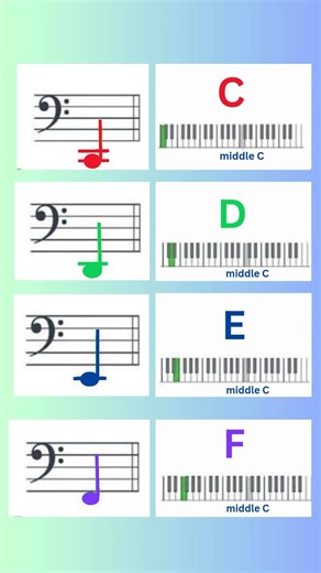 Bass Clef Notes