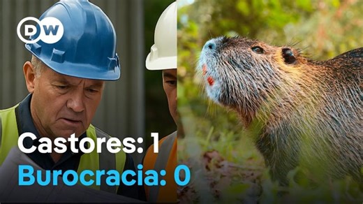 República Checa: Una presa gratis (gracias a los castores) | Juan Camilo Salazar Martínez