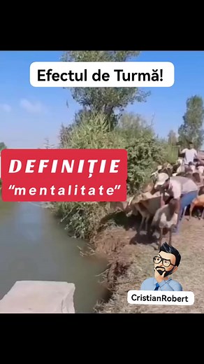 The herd effect is that phenomenon through which an individual is indirectly influenced to adopt certain behaviors/beliefs by a group/society. This process is unconscious, only the result is observed, which is usually negative. #The #herd #effect, #Decision #without #thinking, #Manipulation #bad #stupid ,#danger #brain #world #videoviral #true #reality #New #The #mentality #of #today | Catalinoiu Cristian Robert
