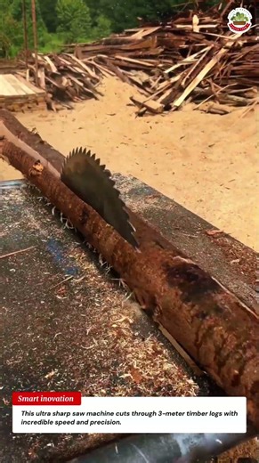 Ultra Sharp Saw Machine Splits 3-Meter Timber Logs With Extreme Precision