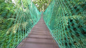 Walk at wooden canopy.