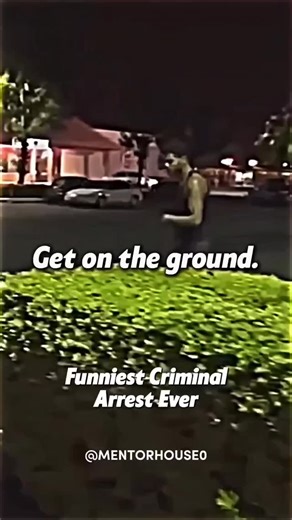 3K views · 17 reactions | #Repost @mentorhouse0 ・・・ Funniest Arrest I...