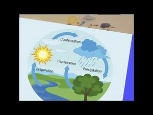 Le cycle naturel de l'eau - CE2