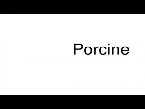 How to pronounce Porcine
