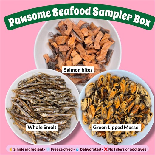 Seafood Dog Cat Treat Sampler Box – Freeze Dried and Dehydrated Variety Pack, Single Ingredient, for Picky Eaters and Fish Loving Pets - Etsy