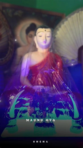 🙏🏻🙏🏻🙏🏻🙏🏻🙏🏻🙏🏻🙏🏻🙏🏻🙏🏻🙏🏻🙏🏻🙏🏻🙏🏻🙏🏻🙏🏻🙏🏻🙏🏻🙏🏻🙏🏻🙏🏻🙏🏻🙏🏻🙏🏻අපේ ගෙදර පහන තියෙන තැන like එකක් දන්න