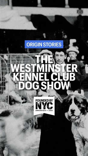 New York City is always making history. It’s a place where legends are born. Founded in New York City in 1877, the Westminster Kennel Club Dog Show is no exception. Formed from a small group of sportsmen and dog enthusiasts, the #WestminsterDogShow has grown into the world’s most prestigious dog show. Taking place at none other than the iconic Madison Square Garden and the Javits Center, it champions excellence, competition, and the enduring bond between dogs and people. For 150 years, Westminst