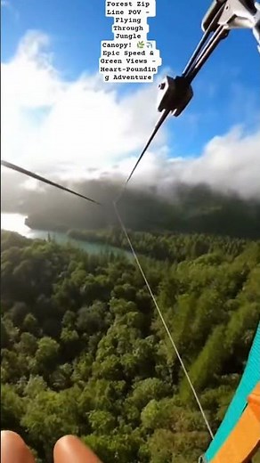 Forest Zip Line POV – Flying Through Jungle#ForestZipLine #ZipLinePOV#JungleAdventure #AdrenalineZip