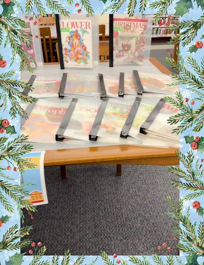 Palmer Public Library on Reels