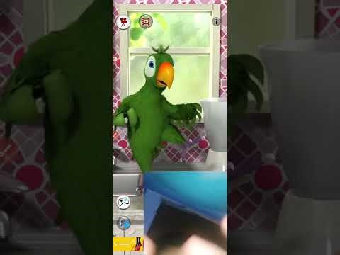 4 Front Video