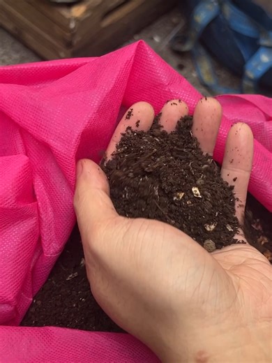 Best Composting Method sa City Compound