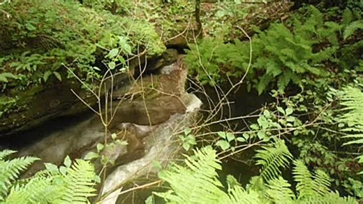 Видео Выпуск 1978 года. | OK.RU