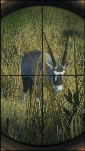 Hunting Gemsbok in Africa | #thehuntercallofthewildgameplay
