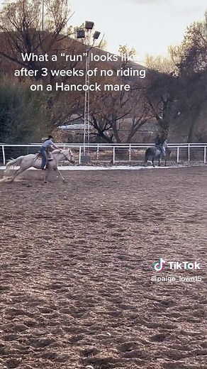 Training a Hancock Barrel Horse | Barrel Racing Run