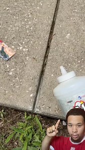 32K views · 741 reactions | WANT THIS PRODUCT??? READ DESCRIPTION  六‍ NicksDeals.Org 六‍ PRODUCT LINKED ON PAGE UNDER AUGUST 6  Daily Amazon Deals, Discounts & Promo Codes   Save BIG on trending products  Amazon Affiliate | Shopping Hacks & Limited-Time Offers! ⏳  Tap the link for today’s best savings! | Nicksdealss | Facebook