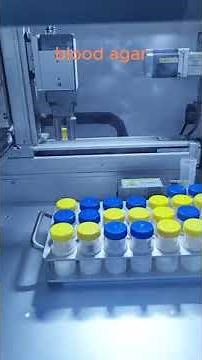Automatic Inoculation on Blood Agar: Efficient Microbial Testing with Babio Biotechnology