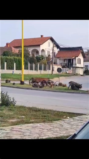 Stevic Mimica on Reels