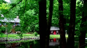 1.3K views · 49 reactions | Visit us for dinner and try our famous BO-GO Entrees. | The Fox & Hounds Restaurant & Tavern | Facebook