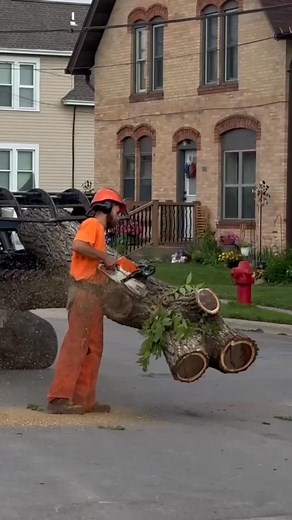 Taking the hassle out of tree work, one cut at a time 🌲✂️ Whether it’s trimming back overgrowth or removing a tree completely, we’ve got the tools and know-how to get it done safely and efficiently — so you don’t have to lift a finger. #TreeCutting #ExpertTreeCare #MidStateTreeService | Mid State Tree Service and Arborist