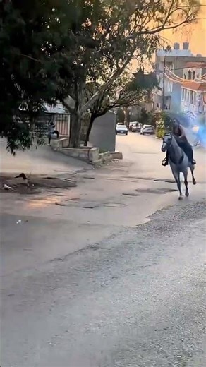 Torque Check Motorcycle? Horse Power