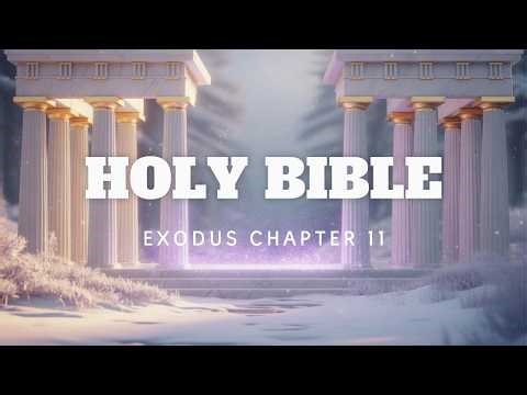 Exodus Chapter 11 NKJV