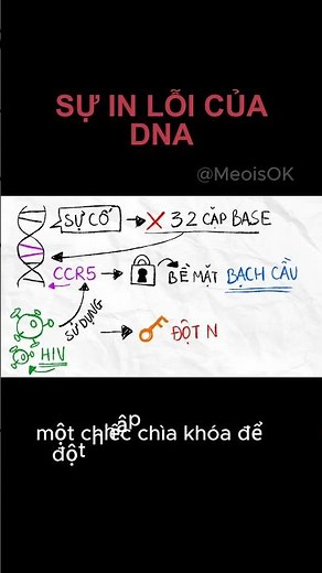 CCR5-Delta 32: The DNA Glitch That Fights VIRUSES