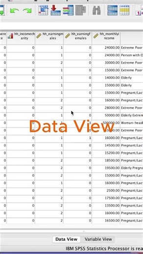 SPSS Interface for Beginners #shorts #dataanalysis