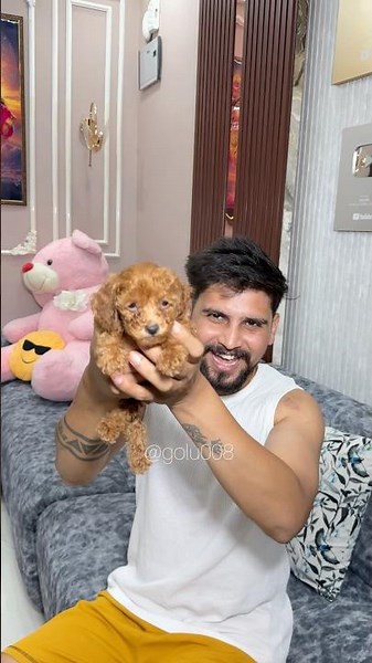 Our new puppy is home 🏡🐾 #youtubeshorts #funny #puppy #golu008 #story #shorts #viral