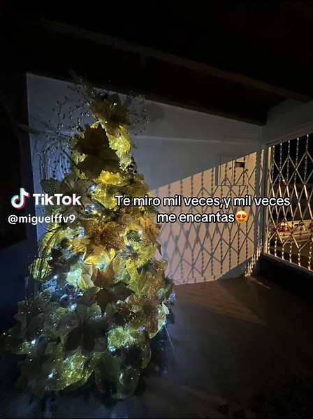 Indirectas de Amor: Te Miro Mil Veces