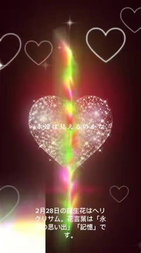 2月28日の誕生花はヘリクリサム。花言葉は「永遠の思い出」「記憶」です。 #花言葉 #神奈川県 #いい言葉 #恋愛