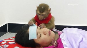 OhGod! Unbelievable Smart Donal Take Care & Sick Mask To When Mom Headache | Monkey Dodo