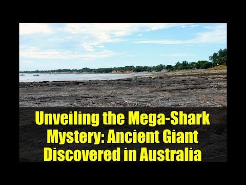 Unveiling the Mega-Shark Mystery: Ancient Giant Discovered in Australia