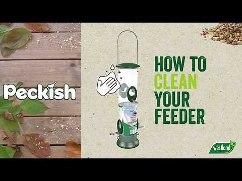 How to clean a bird feeder