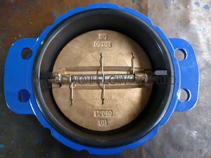[Hot Item] Rubber-Coated 800 Series Bronze Disc Check Valve Used on Sea Water