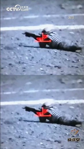 现场曝光！解放军实战演练“斩首行动” | CCTV中文 #shorts