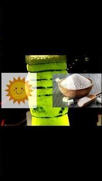 Let's break some Cewll Walls! #shorts #shortsfeed