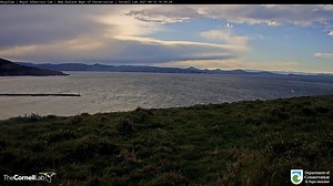 2.9K views · 281 reactions | It's the time of year when Northern Royal Albatross chicks finally open their wings wide and soar over the open Pacific Ocean! Keep your eyes on the right of the screen to see Taiki's next-door neighbor (named SSTrig) hover in place before making a beeline flight out to sea on September 12. Keep watching LIVE at AllAboutBirds.org/Albatross | Bird Cams | Facebook