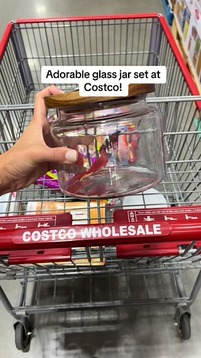 Adorable Glass Jar Set for Kitchen Organization at Costco