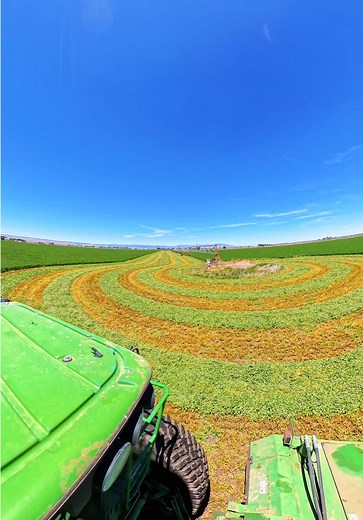 Alfalfa chopping with John Deere swather: hay bricks and baling tips