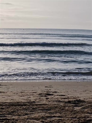 Videos de aloa (@aloa21935) con “sonido original - aloa”