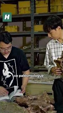 The Nagatitan, a gigantic dinosaur discovered in Thailand, lives up to its name