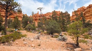 32 reactions | It's time to dust off the old hiking gear and get dirty! Consider Bryce Canyon Country for your first adventure out of the house. | Bryce Canyon Country | Facebook